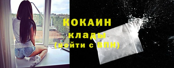 прущие крисы Белокуриха