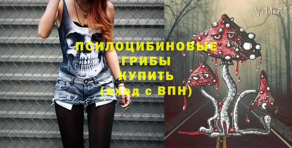 прущие крисы Белокуриха