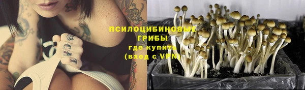 тгк Белоозёрский
