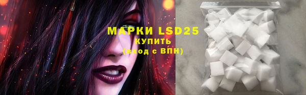индика Нягань