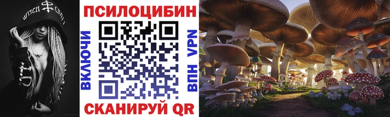 Галлюциногенные грибы GOLDEN TEACHER  Богородск 