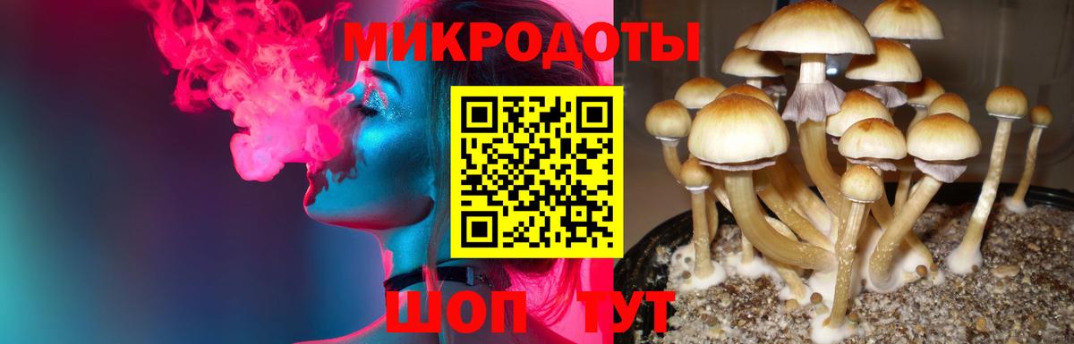 Богородск  Галлюциногенные грибы ЛСД  Вход с VPN  Псилоцибиновые грибы Psilocybe 